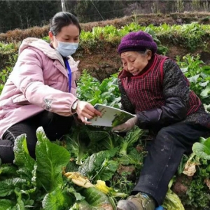 巴中刘丽娟荣获“全国乡村振兴青年先锋”称号