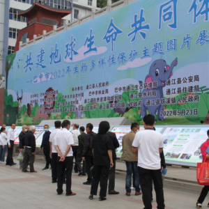 巴中市开展生物多样性保护主题图片展