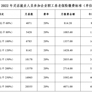 巴中市2022年度灵活就业人员缴纳企业职工基本养老保险缴费标准出炉