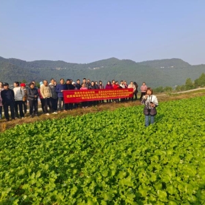 “三区人才”在恩阳开展现场观摩培训会 让结对帮扶工作走深走实